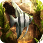 icon Fresh Aquarium 3D