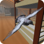 icon Roofy Bird