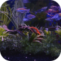 icon Aquarium Live Wallpaper