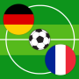 icon Air Soccer Euro Cup 2016