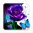 icon ColorMaster 2.13.1