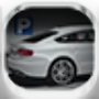 icon Speed Parking 3D