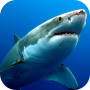 icon Sharks Live Wallpaper para verykool Cyprus JR. s6004